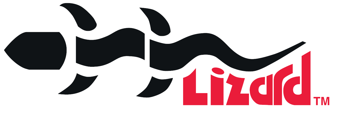 LIZARD NDE Technology