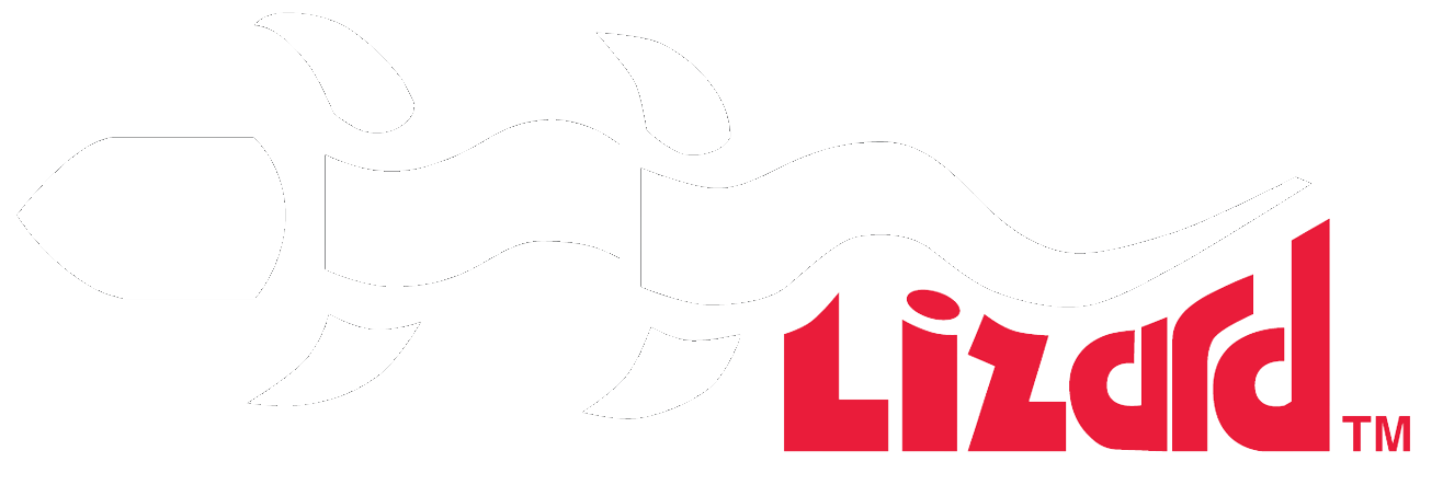 LIZARD NDE Technology